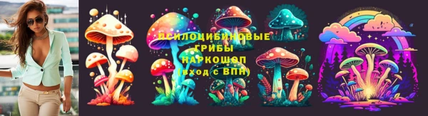гидропоника Липки
