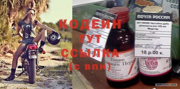 гашик Ладушкин