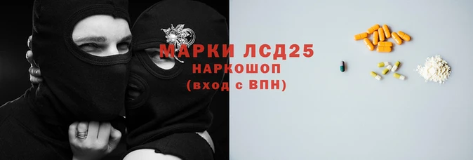 гашик Ладушкин