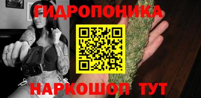 крисы Можайск