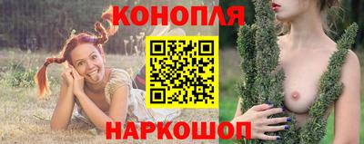 прущие грибы Гагарин