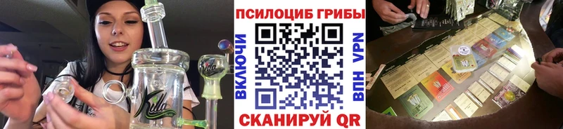 Псилоцибиновые грибы прущие грибы  mega tor  Фрязино  где купить  