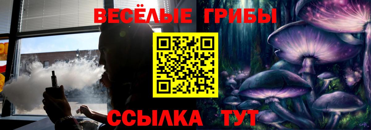 Галлюциногенные грибы MAGIC MUSHROOMS  Вход с VPN  Галлюциногенные грибы Cubensis  Фрязино 